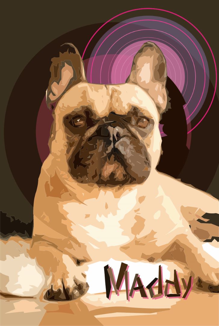 3D Pet Portrait 30x45