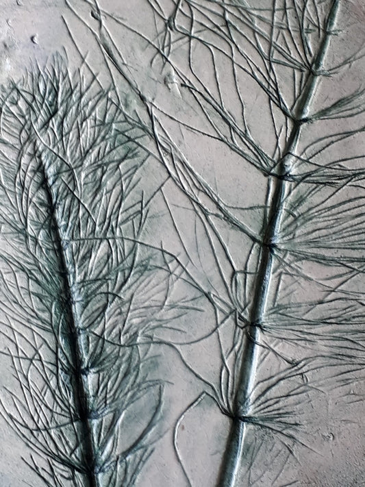 Equiseto della Piana di Luni - Zama Labz